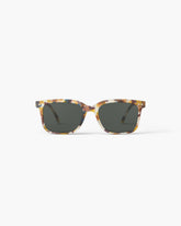 #L SUN Blue Tortoise