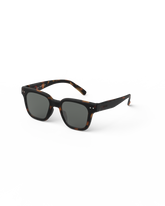 road Tortoise 7-11Y